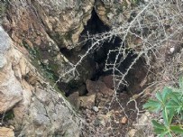 Herkes hazine aramak için giriyor: 25 metrelik tünel herkesi korkutuyor
