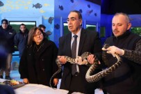 Kaçak Yollarla Yurda Sokulan 108 Hayvanin Yeni Yuvasi Gaziantep Oldu