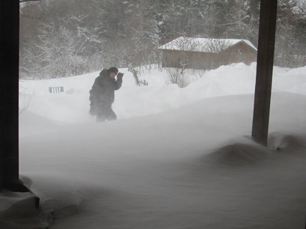 ABD'de kar fırtınası şehri savaş alanına çevirdi: Ölü sayısı 63'e çıktı yağmalamalar başladı