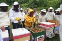 2022'De Meslek Ve Sanat Egitimlerine Damga Vurdular