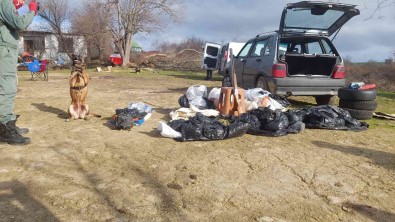 Köyden Adeta Esrar Fiskirdi Açiklamasi Her Yere Esrar Gizlenmis