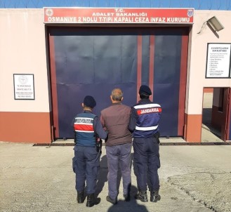 Osmaniye'de 5 Yil Hapis Cezasiyla Aranan Hükümlü Yakaladi