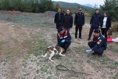 Bilecik'te Sokak Hayvanlarini Elleriyle Beslediler