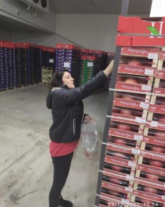 Sebze Meyve Ihracati Yapan Firmalardan Ihracat Numunesi Alindi