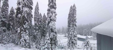 Düzce'nin Yüksek Kesimlerinde Kar Kalinligi 25 Santimetreye Ulasti
