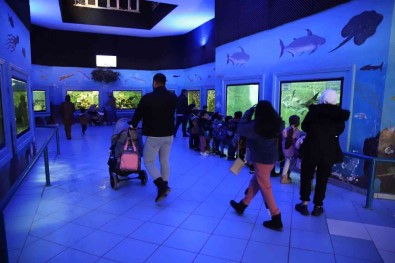 Gaziantep Hayvanat Bahçesi'ni 2022'De 5 Milyon Kisi Ziyaret Etti