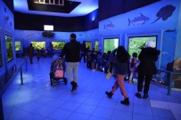 Gaziantep Hayvanat Bahçesi'ni 2022'De 5 Milyon Kisi Ziyaret Etti