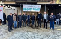 Simav'da Çiftçilere 7 Bin 200 Adet Kestane Fidani Dagitildi
