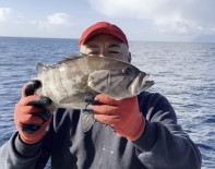 50 Yil Sonra Ilk Kez Kuzey Ege'de Görüldü