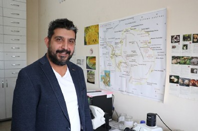 Türk bilim adamı keşfetti: Dünyanın hiçbir yerinde bilinmiyor