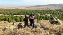 Aksaray'da Jandarma Anadolu Yaban Koyunlarini Dron Ile Takip Ediyor Haberi