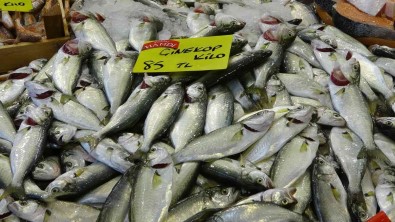 Balik Tezgahlarinda Palamutun Yerini Çinekop Aliyor