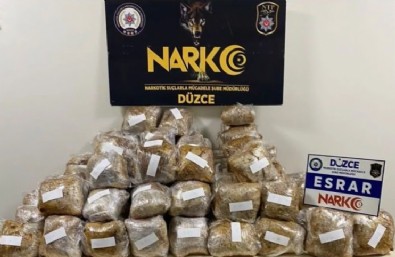 Düzce'de kargo aracında 65 kilogram esrar ele geçirildi
