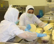 Kasim Ayinda Fiyati En Fazla Artan Ürün Tereyagi Oldu