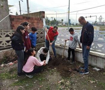 Germencik'te Gönüllüler Cami Bahçesine Fidan Dikti