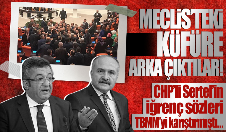 TBMM'de bütçe görüşmeleri esnasında küfür eden CHP'li Atila Sertel'e Engin Altay ve Erhan Usta sahip çıktı