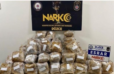 Düzce'de kargo aracında esrar ele geçirilmesine ilişkin 1 şüpheli tutuklandı