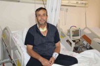 Girtlagi Alindi, Sagligina Kavustu