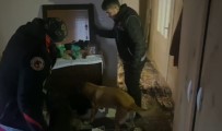 Izmir'de Yakalanan Uyusturucu Taciri Tutuklandi