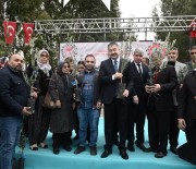 Osmaniye'de Zeytincilik Gelisiyor