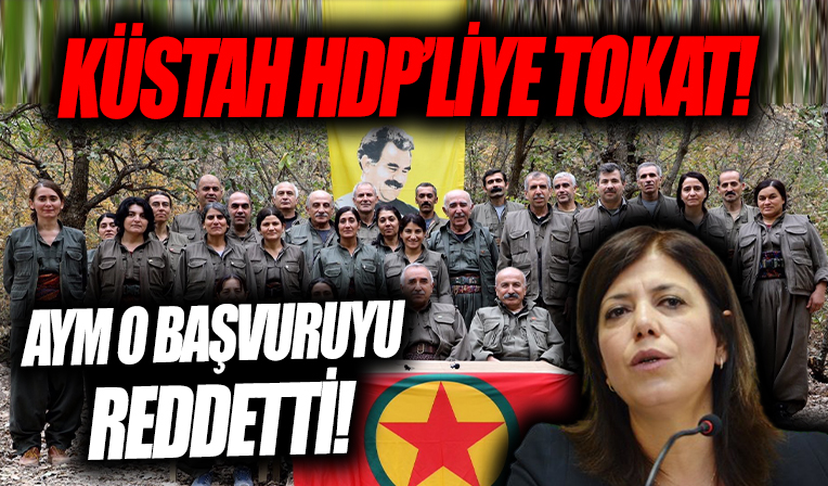 AYM'den HDP'li Meral Danış Beştaş'ın kararı!  O başvuru reddedildi...