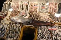 Baligin Kulagina Kar Suyu Kaçti