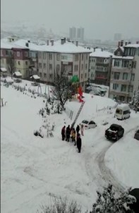 Çöp Konteynerine Düsen Kedi Kurtarildi