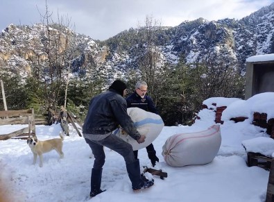 Dagda Mahsur Kalan Çobanin Yardimina AFAD Yetisti