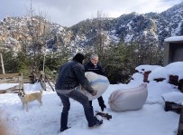 Dagda Mahsur Kalan Çobanin Yardimina AFAD Yetisti