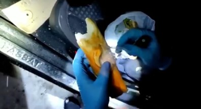 Ekmek Arasi Uyusturucu Ticareti