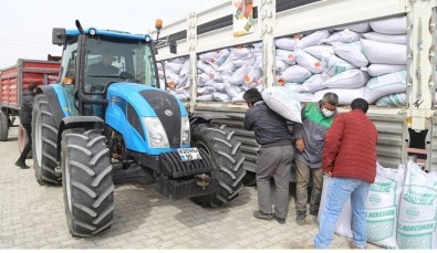Kulu'da Hibeli Tohum Dagitimi