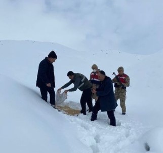 Mus'ta Yaban Hayvanlarina Yem Destegi