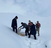 Mus'ta Yaban Hayvanlarina Yem Destegi