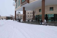 NEVÜ'de Karla Mücadele Ve Tuzlama Çalismalari Devam Ediyor