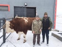 2 Yilda Bin 250 Kiloya Ulasti