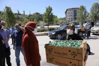 Akyurt'ta Sebze Fidesi Desteginde Basvurular Basliyor