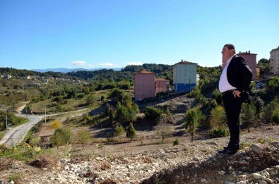 Baskan Tekin Tapu Sevincini Böyle Paylasti Açiklamasi '21 Yil Sonra Bizlere Nasip Oldu '