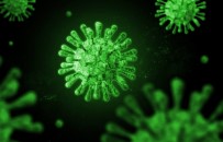 Japonya'da Sumo Güresi Turnuvasinda Covid-19 Krizi