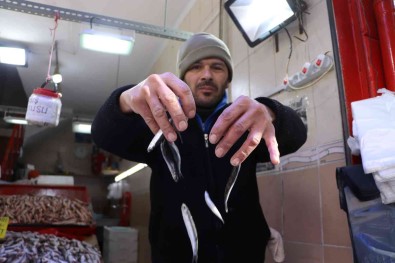 Kulagina Kar Suyu Kaçan Hamsiye Vatandastan Yogun Talep