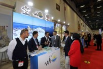 Van Standina Büyük Ilgi