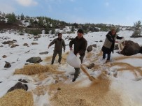 Yaban Hayvanlari Için Dogaya Yem Biraktilar