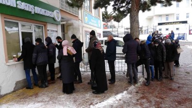 Yozgat'ta Ucuz Yaga Yogun Ilgi