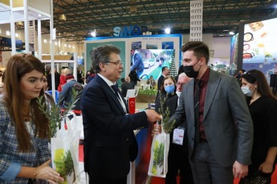 Zeytinin Baskenti Edremit EMITT'te 5 Bin Zeytin Fidani Dagitacak