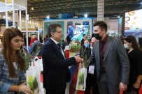 Zeytinin Baskenti Edremit EMITT'te 5 Bin Zeytin Fidani Dagitacak