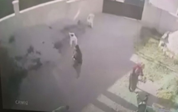 Konya'daki vahşette 7 kişi ölmüştü! Olayın tek tanığı konuştu...