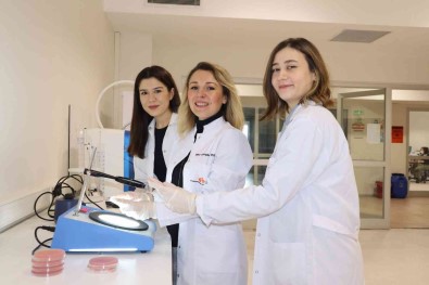 Bakteriden Enerjiye Kaplicada Kesif