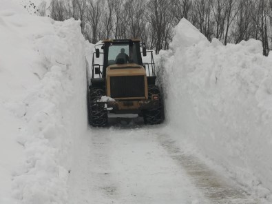 Bitlis'te Kar 7 Metreyi Buldu