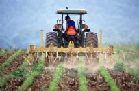 ÇİFTÇİLERE GÜBRE DESTEĞİ - Çiftçilere gübre desteği: Tarım Kredi'den gübre fiyatlarında indirim