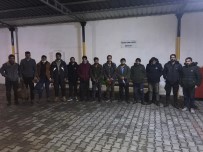 Hatay'da 13 Düzensiz Göçmen Yakalandi