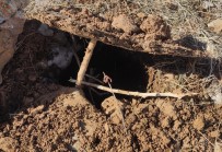 Kaçak Avlanan 6 Kisiye 15 Bin Lira Ceza